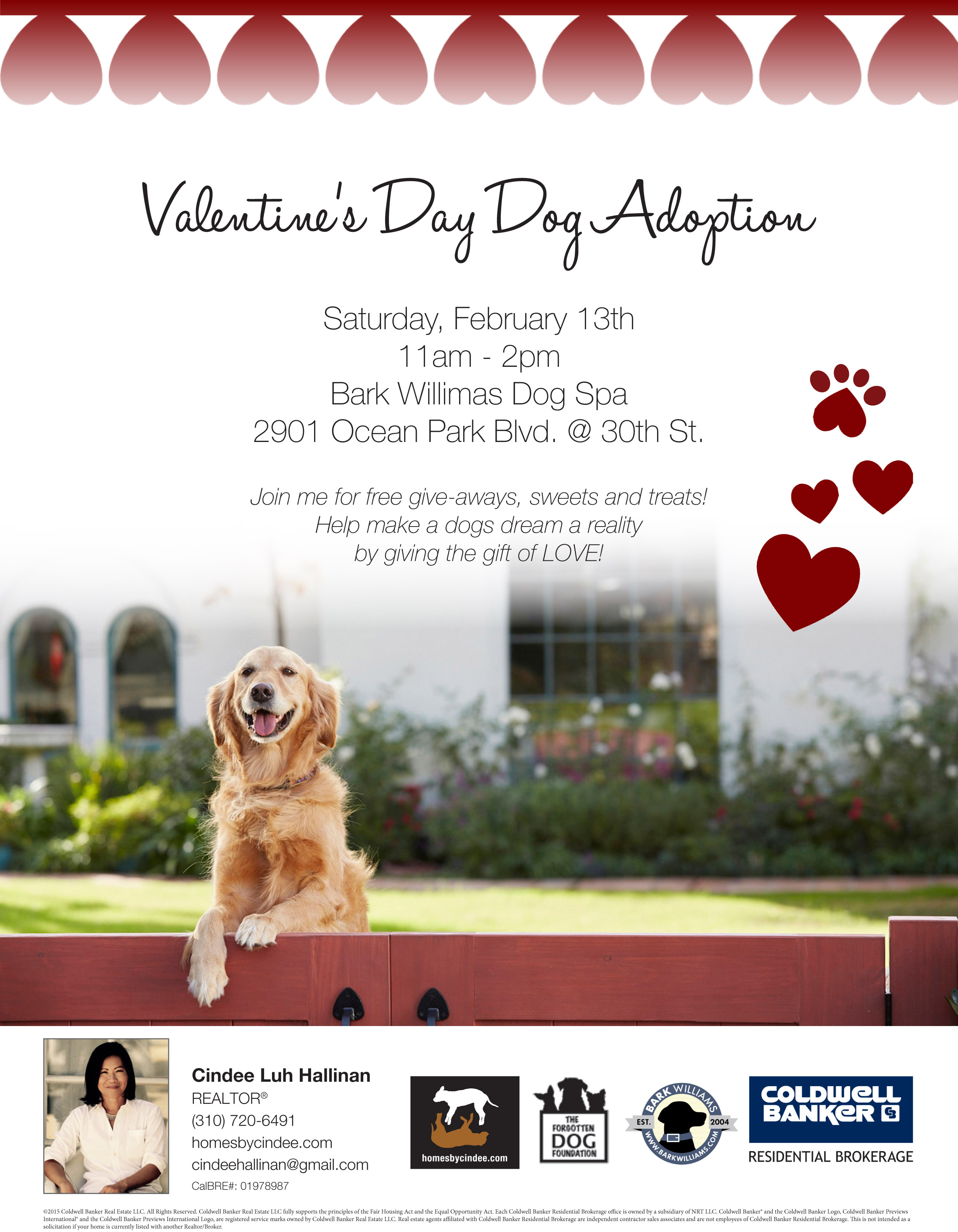 Valentines Day Adoption Flyer